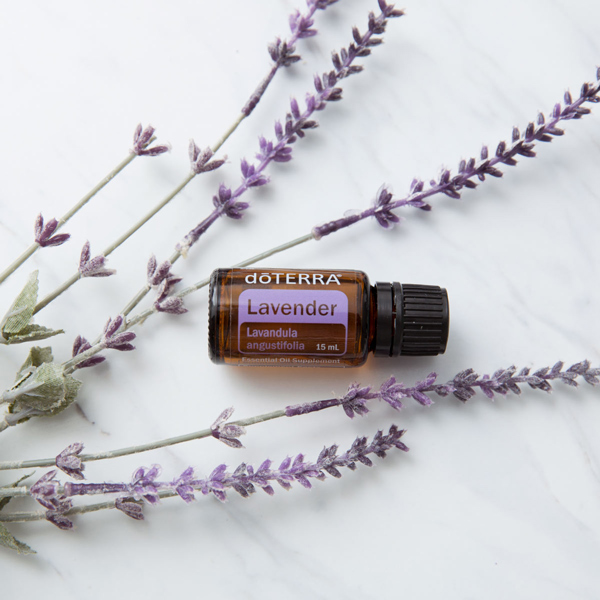 doTERRA Lavender Essential Oil- 15ml - Building Biology Mama