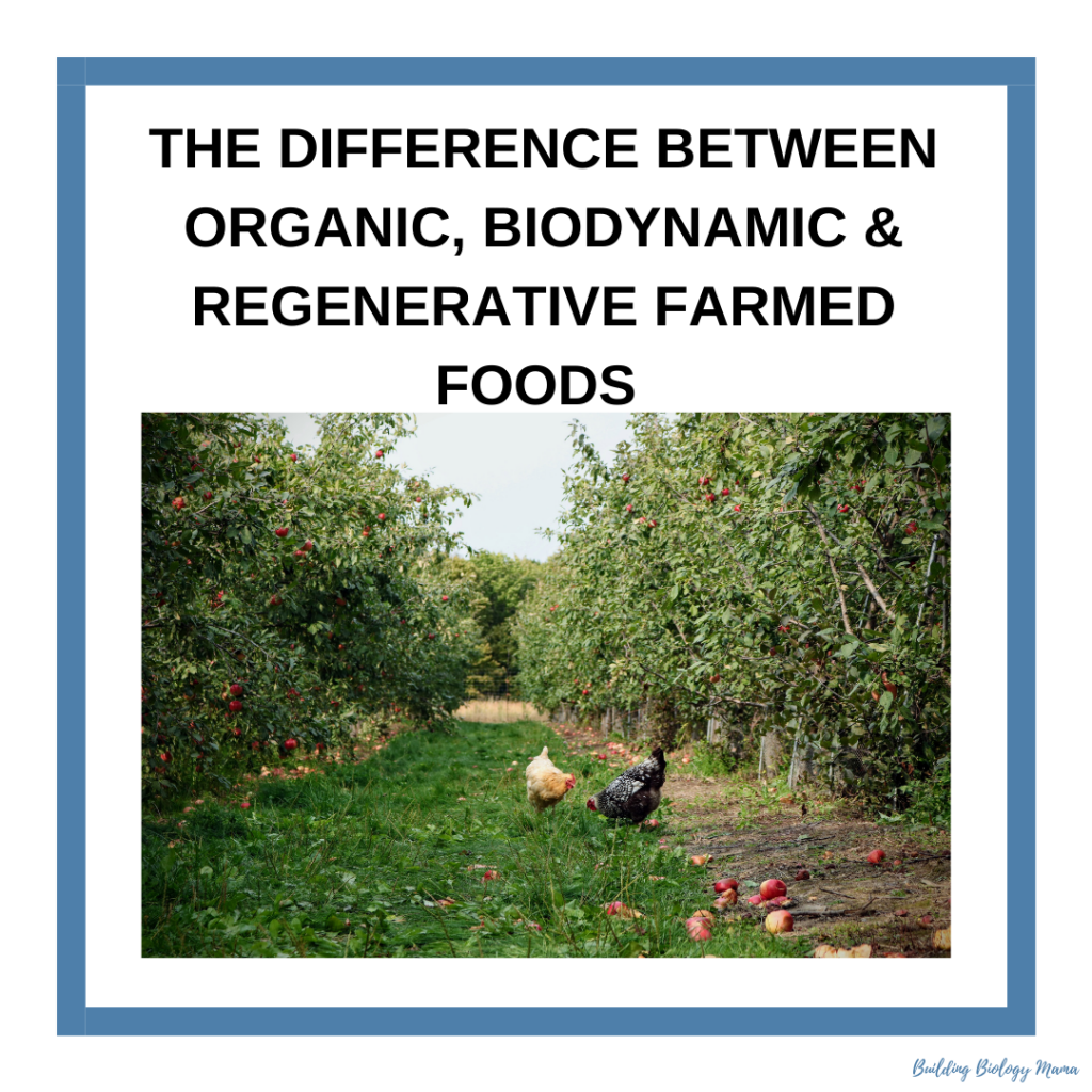 organic and biodynamic food